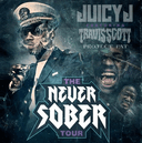 Never Sober Tour