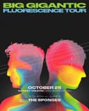 Big Gigantic Fluorescence Tour