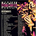 Social Distortion Tour